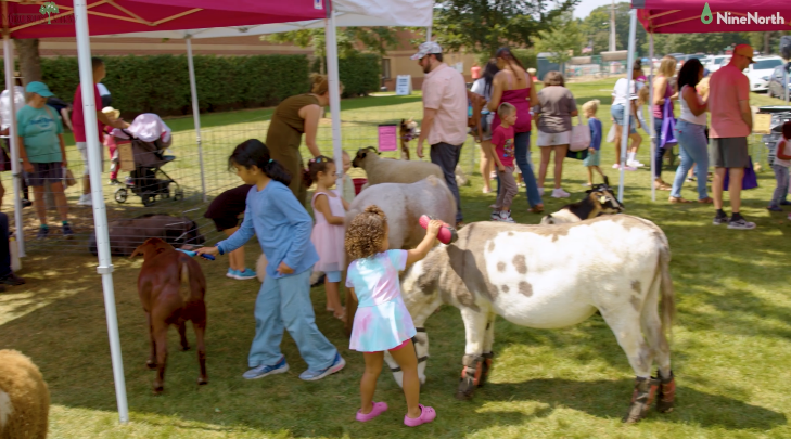 Thumbnail image for Mounds View Festival in the Park 2026